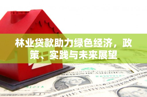 嘉荫林业贷款助力绿色经济，政策、实践与未来展望