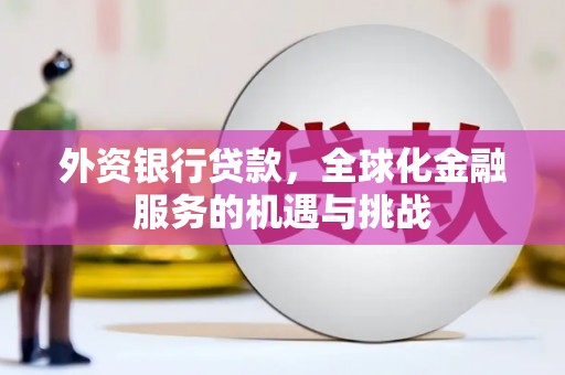 嘉荫外资银行贷款，全球化金融服务的机遇与挑战