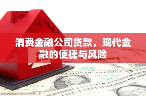 嘉荫消费金融公司贷款，现代金融的便捷与风险
