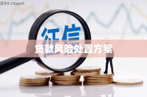 嘉荫贷款风险处置方案