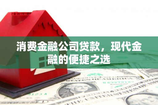 嘉荫消费金融公司贷款，现代金融的便捷之选