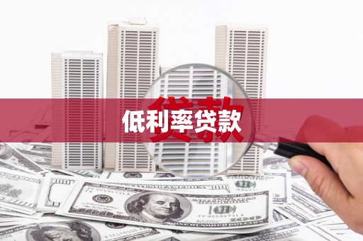 嘉荫低利率贷款
