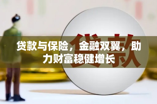 嘉荫贷款与保险，金融双翼，助力财富稳健增长