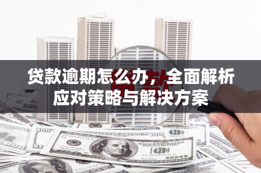 嘉荫贷款逾期怎么办，全面解析应对策略与解决方案