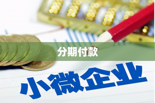 嘉荫分期付款