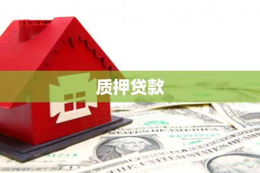 嘉荫质押贷款