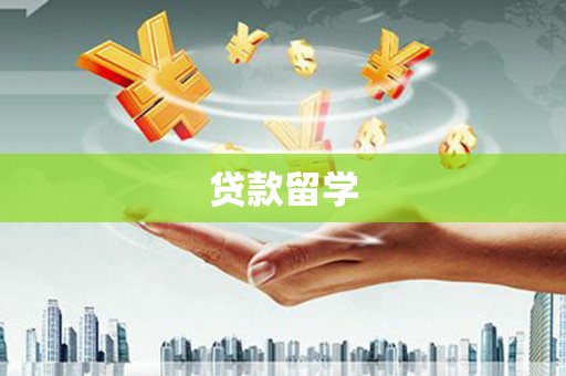 嘉荫贷款留学