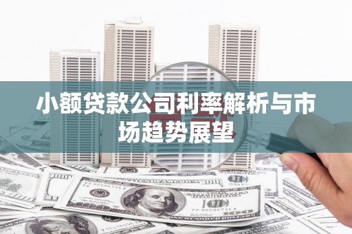 嘉荫小额贷款公司利率解析与市场趋势展望