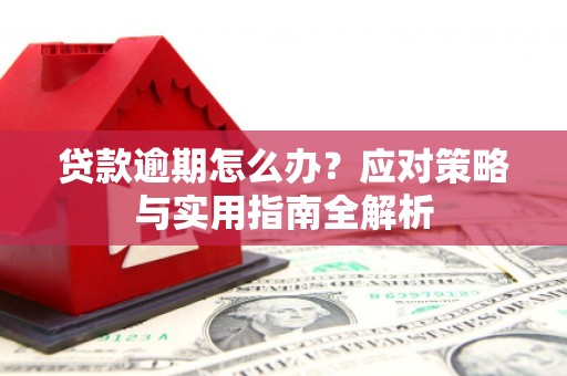嘉荫贷款逾期怎么办？应对策略与实用指南全解析