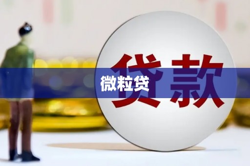 嘉荫微粒贷