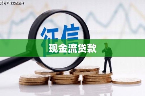 嘉荫现金流贷款