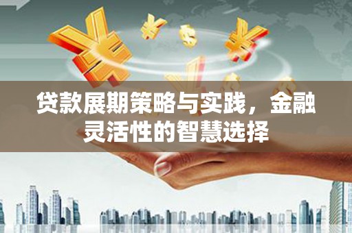 嘉荫贷款展期策略与实践，金融灵活性的智慧选择
