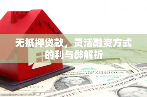 嘉荫无抵押贷款，灵活融资方式的利与弊解析