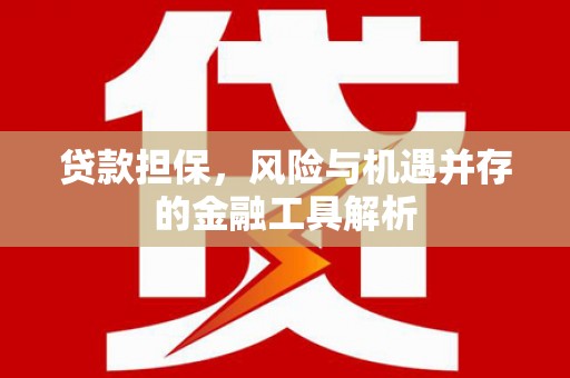 嘉荫贷款担保，风险与机遇并存的金融工具解析