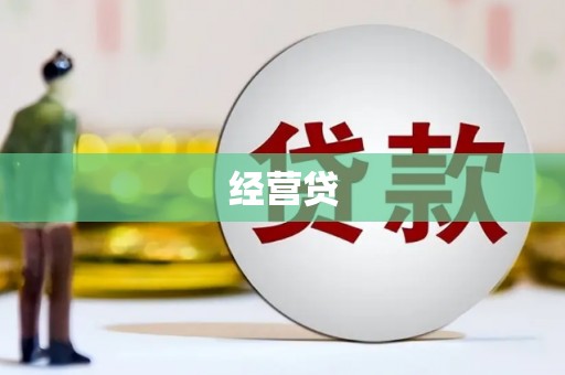 嘉荫经营贷
