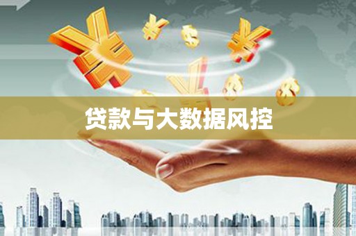 嘉荫贷款与大数据风控