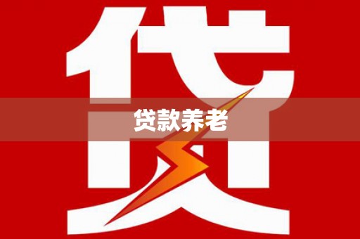 嘉荫贷款养老