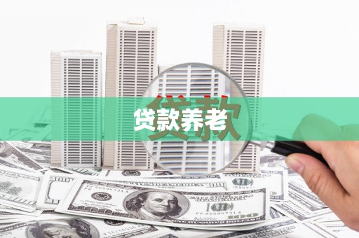 嘉荫贷款养老