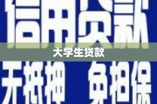 嘉荫大学生贷款
