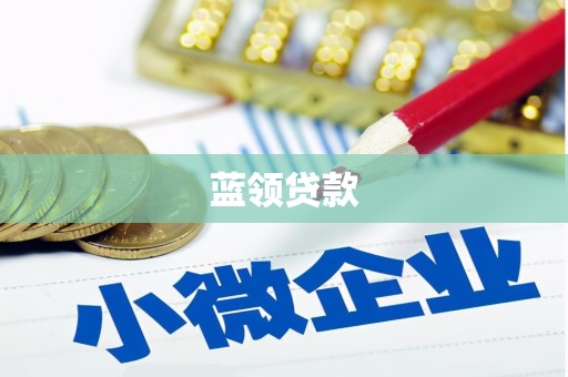 嘉荫蓝领贷款
