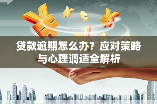 嘉荫贷款逾期怎么办？应对策略与心理调适全解析