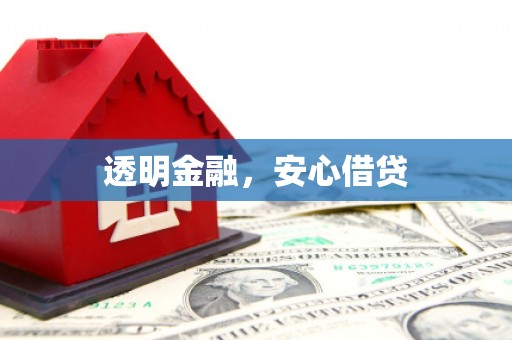 嘉荫透明金融，安心借贷