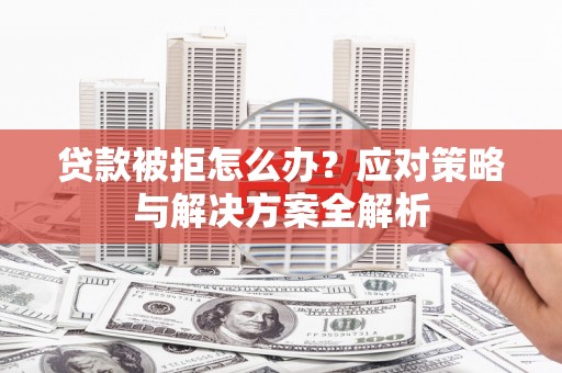 嘉荫贷款被拒怎么办？应对策略与解决方案全解析