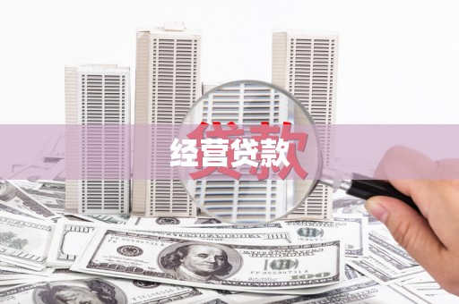 嘉荫经营贷款