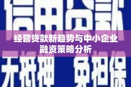 嘉荫经营贷款新趋势与中小企业融资策略分析
