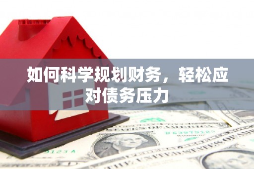 嘉荫如何科学规划财务，轻松应对债务压力