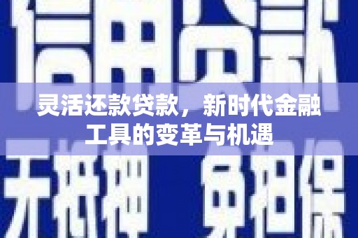 嘉荫灵活还款贷款，新时代金融工具的变革与机遇