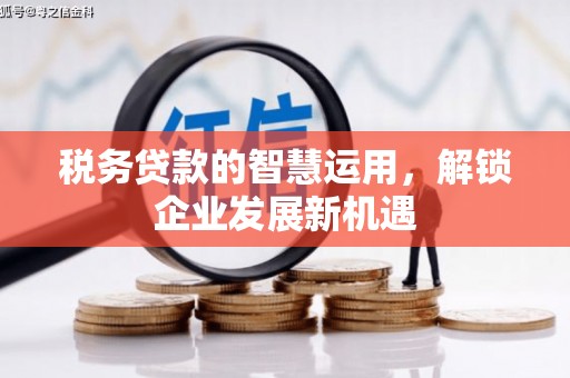 嘉荫税务贷款的智慧运用，解锁企业发展新机遇