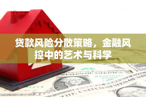 嘉荫贷款风险分散策略，金融风控中的艺术与科学