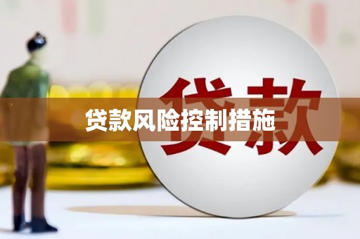 嘉荫贷款风险控制措施