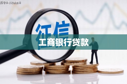 嘉荫工商银行贷款