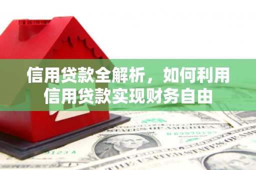 嘉荫信用贷款全解析，如何利用信用贷款实现财务自由