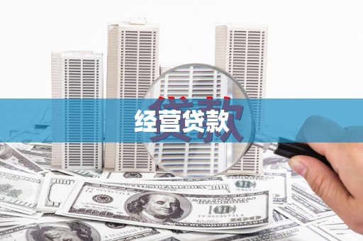 嘉荫经营贷款