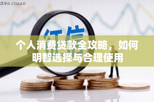嘉荫个人消费贷款全攻略，如何明智选择与合理使用